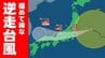 【逆走台風】15号は異例のルート 今夜にも関東地方へ いまどこ？ 予想進路図と雨風の様子　気象庁11日午前6時45分発表最新　|　熊本のニュース｜RKK NEWS｜RKK熊本放送