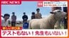 【新しい学び舎】テストもない！先生もいない！北海道長沼町にある小中学校の驚きの教育方針　ブタ？ヒツジ？子どもたちが決める「命をいただく」授業　|　北海道のニュース｜HBC北海道放送