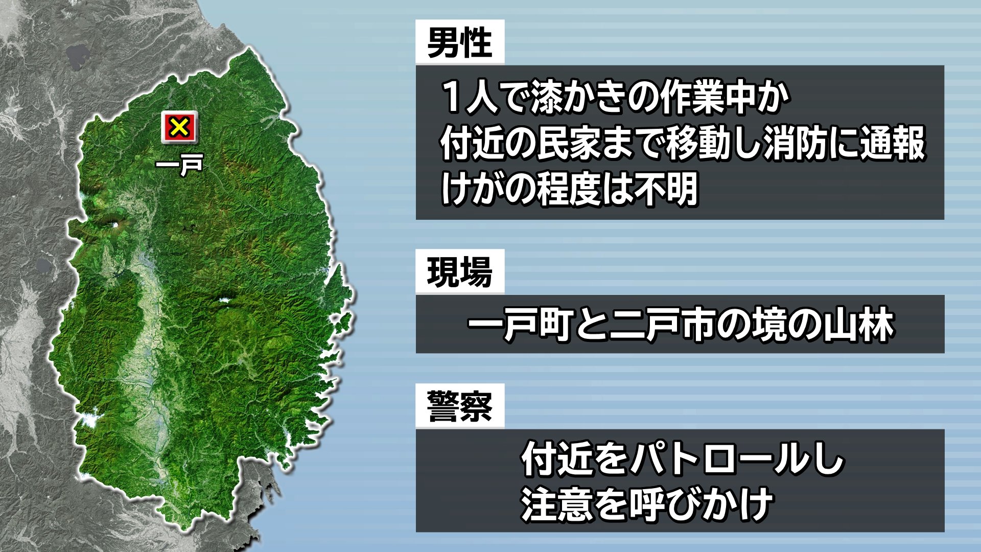 漆かきの作業中に襲われたか？男性がクマに頭をかまれたり腰をひっかか