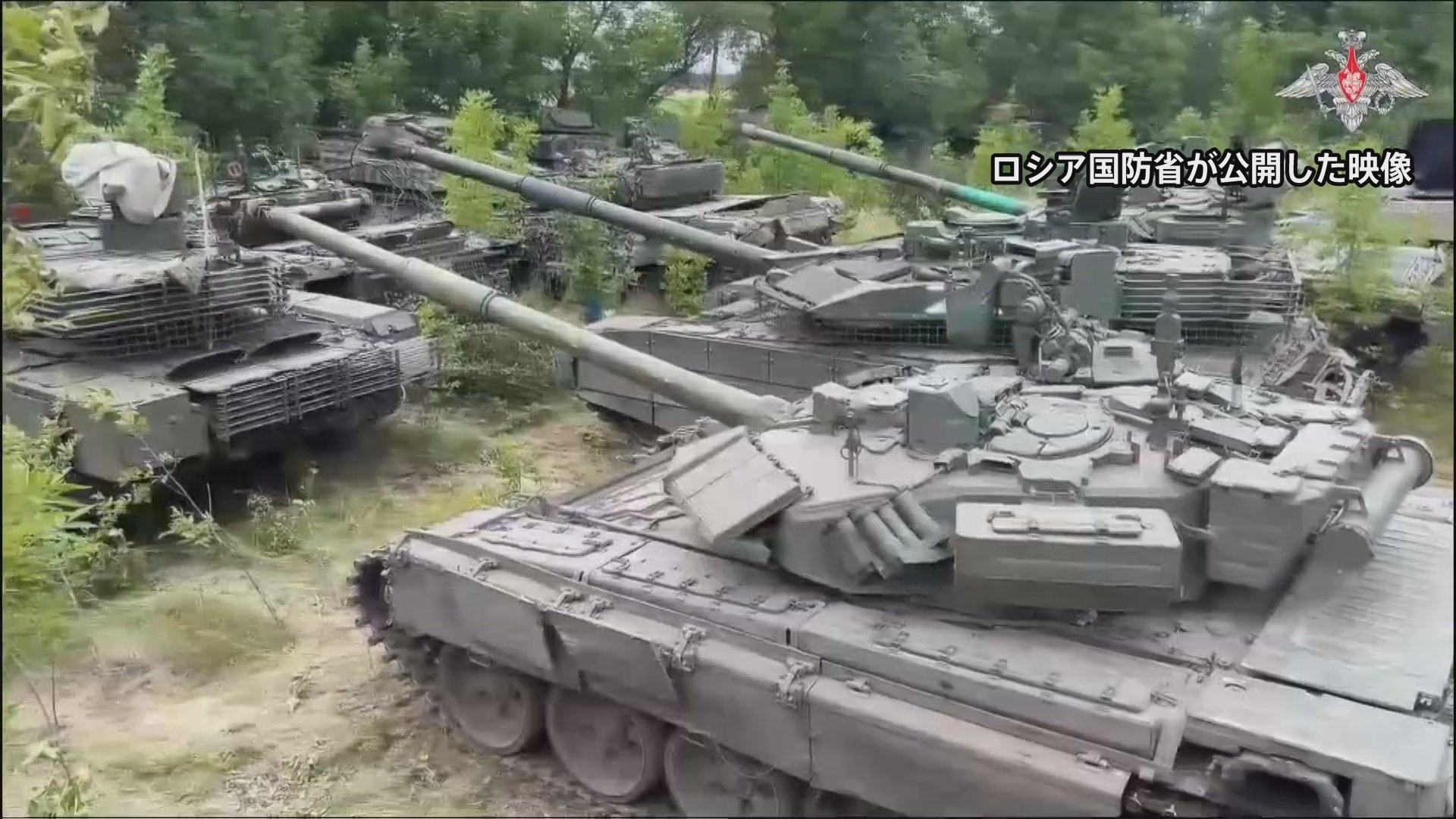 ロシア軍 実物 ロシア内務省 交通警察 ДПС ウインドブレーカー 48-4 ロシア軍 実物 ロシア内務省 交通警察 ДПС ウインドブレーカー 48-4