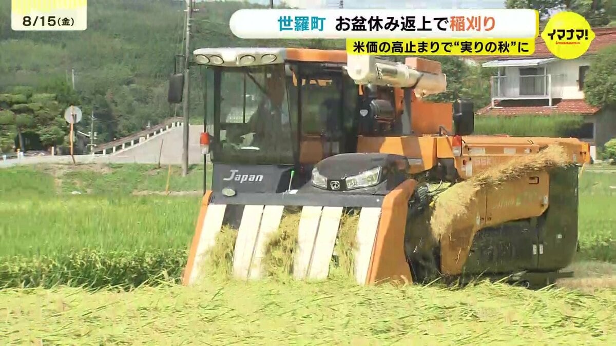 農家が成長産業になってきた」お盆休み返上で稲刈り 米価高止まりで 農家が成長産業になってきた」お盆休み返上で稲刈り 米価高止まりで