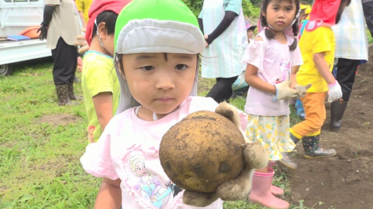 「楽しかった」　耕作放棄地だった畑で園児らが植え付けを手伝ったジャガイモを収穫　山梨・甲州市