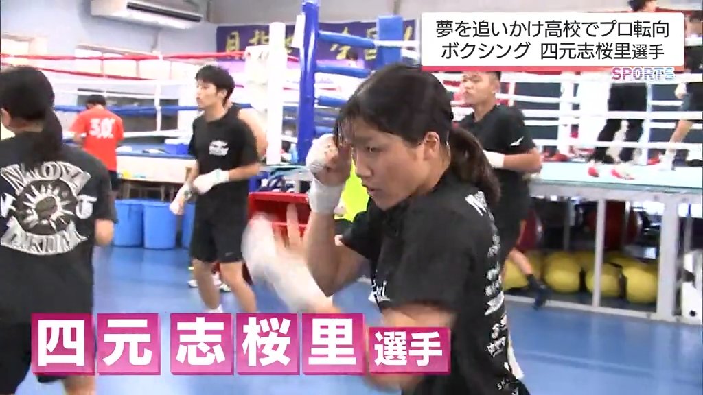 ボクサー志願　除籍 現役女子高校生プロボクサー 四元 志桜里選手 インターハイ王者