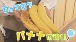 青いバナナは〇〇を整える!?フルーツが秘めるチカラを調査【WITH!】 | 福島のニュース│TUF