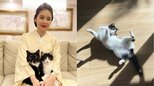 【ねこ】藤あや子・愛猫 “オレオ” が「光合成しながらブレイキン」床上の連続写真にフォロワー沸く|TBS NEWS DIG