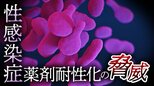 性感染症“淋病”の特効薬「ペニシリン」はほぼ効かない?迫る薬剤耐性化の脅威…難航する新薬開発の裏で専門医が強調する予防対策「セーファーセックス」|TBS NEWS DIG