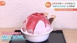 “かき氷、包んじゃいました” 東京都内に新感覚の氷スイーツが登場!“まるでケーキなかき氷”その名も「MELT BOWL」|TBS NEWS DIG
