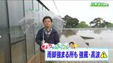 「夕方まで雨、三陸沿岸を中心に一時ザーザー降りの所も」宮城の30秒天気　tbc気象台　26日　|　宮城のニュース│tbc NEWS│tbc東北放送
