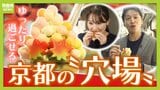 【混雑回避 】秋の京都は穴場で楽しむ!ゆったり過ごせるスポット3選 市内一望の「大舞台」から「宇治抹茶の名産地」まで|TBS NEWS DIG