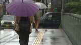 岩手県内沿岸と内陸で5日未明から朝にかけて大雨|TBS NEWS DIG