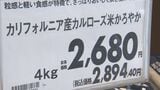 いよいよ沖縄でも13日から政府備蓄米販売 でもその前にコメ売り場に変化…割安なアメリカ産米も人気|TBS NEWS DIG