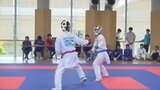 【山梨県高校総体】 空手・組手 準決勝は男女ともに日本航空同士の対決|TBS NEWS DIG