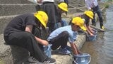 「5mくらいになってほしい」児童がアユの稚魚を放流 アユ釣りが解禁は来月20日 山梨・笛吹川 | 山梨のニュース | UTYテレビ山梨