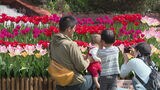 「一人一花運動」の発信拠点“ボタニカルライフスクエア”がオープン　福岡市植物園　|　福岡のニュース｜RKB NEWS｜RKB毎日放送