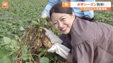 “幻のさつまいも”「いずみ」 収穫量は茨城のさつまいも生産量全体の0.1％【SUNトピ】|TBS NEWS DIG