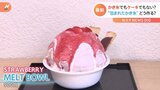 “かき氷、包んじゃいました” 東京都内に新感覚の氷スイーツが登場!“まるでケーキなかき氷”その名も「MELT BOWL」|TBS NEWS DIG