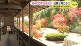 約400本のモミジ色づく　広島･神石高原町　そばも味わえる禅寺　|　RCC NEWS | 広島ニュース | RCC中国放送