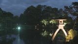 「涼」を感じる幻想的な灯り 「金沢城・兼六園四季物語 夏の段」 ライトアップ9日から始まる|TBS NEWS DIG