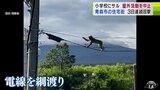 青森市の住宅街にまたも「サル」　筒井南小学校付近に出没で児童の保護者は「早く普通の日常に戻ってほしい…」　|　青森のニュース│ATV NEWS│青森テレビ