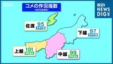 新潟県全体のコメの“作況指数”は「98」で『やや不良』予想収穫量は去年より増加も 田植え後の低温で平年よりは少なく(9月25日現在)|TBS NEWS DIG