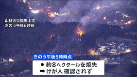 岩手で山林火災　2つの市の500人以上に避難指示|TBS NEWS DIG