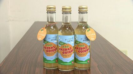 高校生が北木島の柑橘「ダイダイ」を使ったクラフトコーラ開発