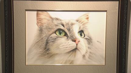 全ネコ好きが歓喜！！かわいくてリアルすぎる「猫」の絵を描く色鉛筆