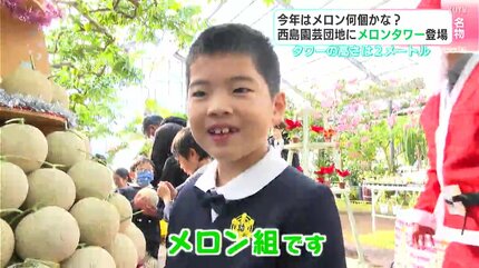 すごい！楽しかった！」今年はメロン何個かな？ 西島園芸団地にメロン