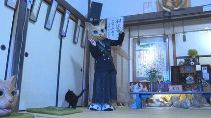 読経で「ミニ・チビ・クロ」??ネコ912匹の名前読み上げ般若心経で健康