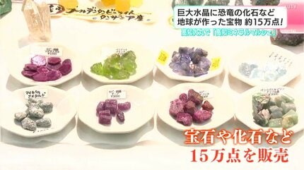 巨大水晶に恐竜の化石など地球が作った宝物が約15万点！ 高知大丸で