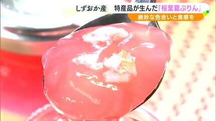 食べてサクラを感じていただければ」特産品が生んだ「桜葉葛ぷりん