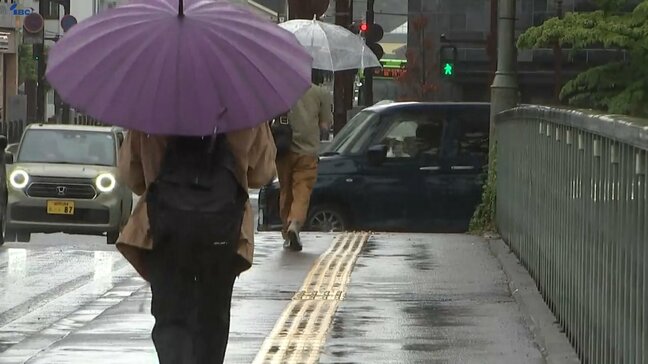 岩手県内沿岸と内陸で5日未明から朝にかけて大雨|TBS NEWS DIG