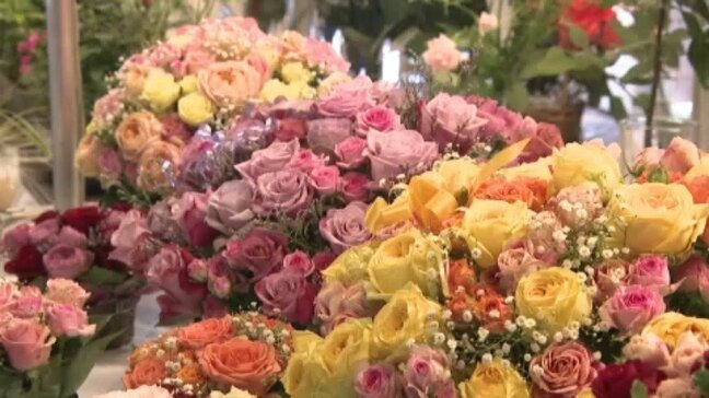 県知事賞には「王妃アントワネット」 萬翠荘でバラ展 愛媛・松山|TBS NEWS DIG