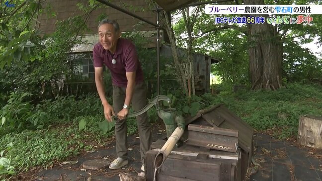「私の第二の人生にはかけがえのない存在」岩手のブルーベリーに夢中な雫石町・久米川好人さん|TBS NEWS DIG