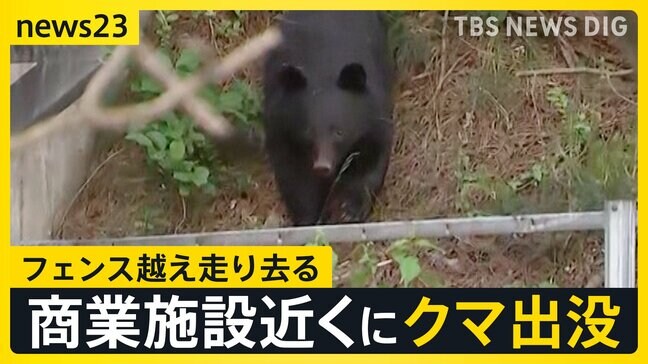 「茂みの中にクマがいる」人や車の往来が多い場所でクマ出没 しばらく茂みに居座り続けたあとフェンス乗り越え“南側”へ走り去る 岩手・北上市【news23】|TBS NEWS DIG