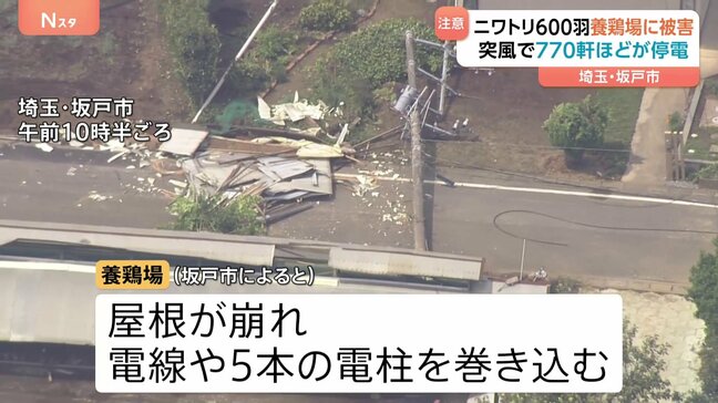 突風が発生 釣り堀の魚500匹が被害に… 養鶏場では屋根が飛ばされ一時停電　けが人なしも600羽のニワトリの被害状況を確認中|TBS NEWS DIG