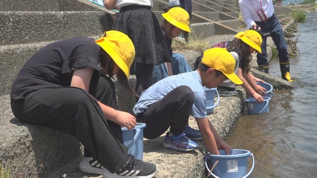 「5mくらいになってほしい」児童がアユの稚魚を放流 アユ釣りが解禁は来月20日 山梨・笛吹川|TBS NEWS DIG