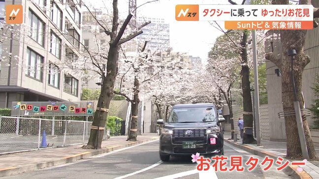 都心の桜はまさに見頃 桜スポットをめぐる「お花見タクシー」【SUNトピ】|TBS NEWS DIG
