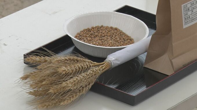 県産麦の収穫を祝う「おきなわ麦うまちー」賑わう|TBS NEWS DIG