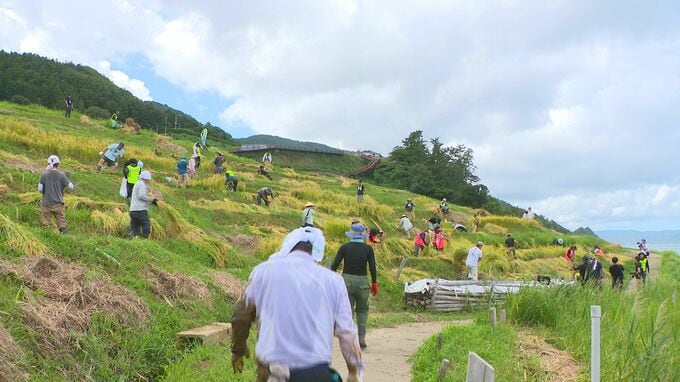 「収穫の秋が一番」豪雨で再び被災した“白米千枚田”復活へ…地元有志の思いは一つ|TBS NEWS DIG