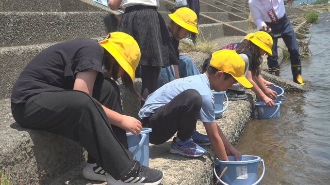 「5mくらいになってほしい」児童がアユの稚魚を放流　アユ釣りが解禁は来月20日　山梨・笛吹川　|　山梨のニュース | ＵＴＹテレビ山梨