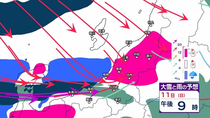 【 新潟の雪は？ 】3連休の11日(日)～12日(月祝)にかけて中越山沿いで70cmの降雪予想　山沿い中心に平地でも大雪か【14日までの雪のシミュレーション・9日午後8時更新】　|　新潟のニュース・天気｜BSN NEWS｜BSN新潟放送