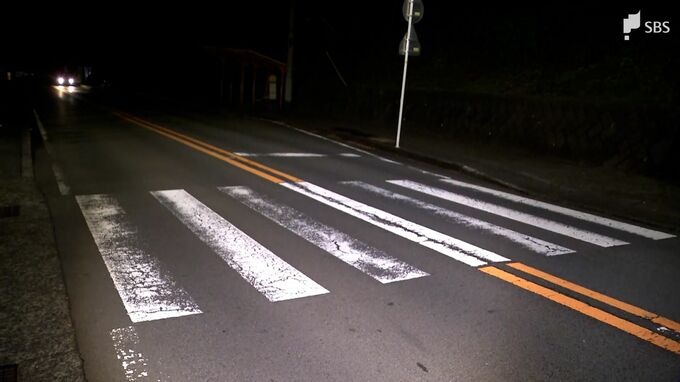 横断歩道前で停車の車に後続車追突 弾みで横断中の小学生はねられ死亡 追突した車運転の男逮捕＝静岡・伊東市|TBS NEWS DIG