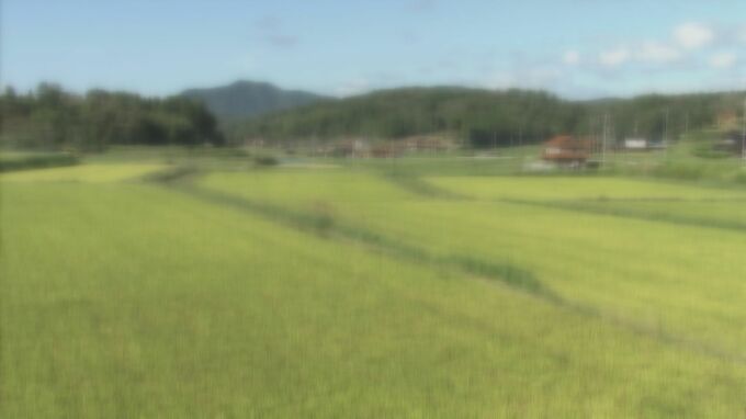 田んぼに横転したトラクター　下敷きになった89歳の男性死亡　|　RCC NEWS | 広島ニュース | RCC中国放送