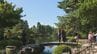 旧盆に「兼六園」無料開園始まる 厳しい暑さに涼を求めて 日本最古の噴水　|　石川県のニュース｜MRO北陸放送
