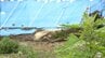 「もうたくさん」「またかと…」被災の住民からは悲鳴　青森県内で最大震度6強観測の地震から1週間　その後も活発な地震活動　これまでに震度1以上観測の地震は23回発生【岩手県沖地震から1週間③】　|　青森のニュース│ATV NEWS│青森テレビ