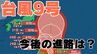 【ダブル台風→シングルに　台風情報】「台風9号」は今どこに？今後の台風進路はどうなる？小笠原諸島（東京）は注意・警戒を【台風いつどこへ？今後16日間の天気予報シミュレーション 27日午後9時45分発表】|TBS NEWS DIG
