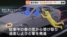 現金40万円奪われた男性が車から落とされケガした事件　3人目の容疑者(22)を逮捕 　指示役か 強盗傷害の疑い 広島市東区　|　RCC NEWS | 広島ニュース | RCC中国放送