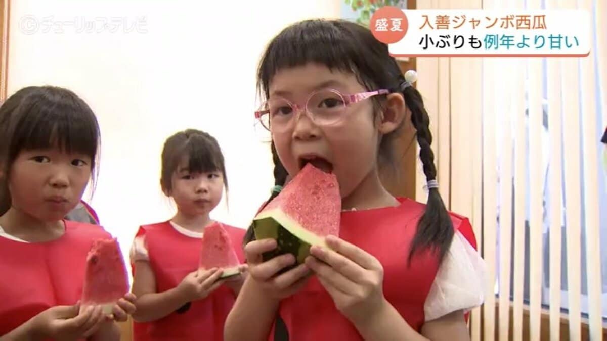 おいしい！しあわせ」甘いスイカに夢中…今年は例年以上の甘さに 入善
