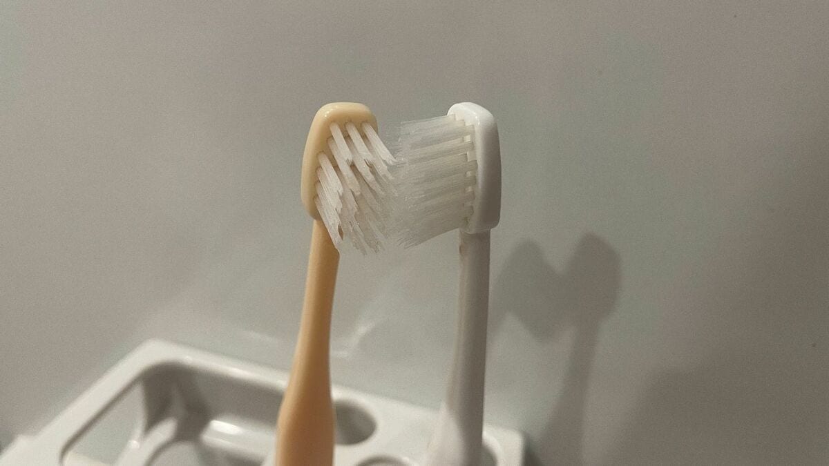 歯ブラシには細菌がいっぱい！使い方次第では“便器ブラシ”状態に… 細菌の増殖やインフル感染リスクも高めるNG行為とは